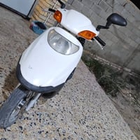 سبيسي • صيني • مجال