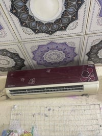 سبلت • شغالة • ١.٥-٢ طن