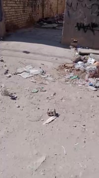 ١٠٠م • مخزن سابق • شارع عشرين