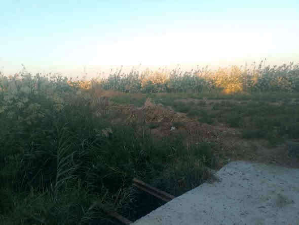 السلام عليكم للبيع كاع 600 متر بمنطقه سويب سند ١٧ صايره شكل مثلث قريبه كلش علا صيطره سويب بصفهة 
التبليط بابهة الكهرباء بصفك مي بيها عارضها ب ٢٠ مليون 
وبيها مجال للشراي ***********
