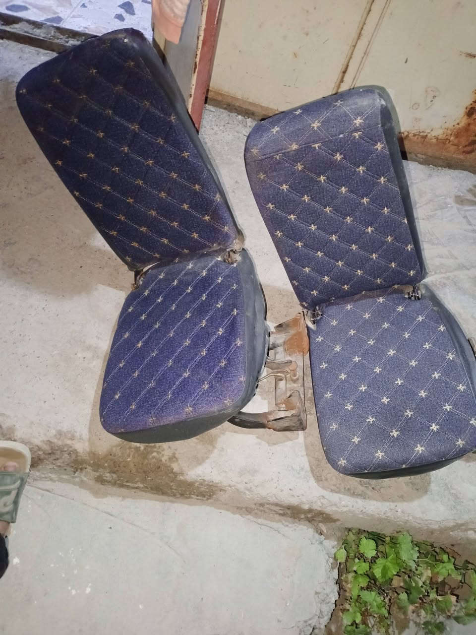 السلام عليكم شباب عندي كشنات مال جنبي صغار البيع كشنات عمل سعر واحد 100 مكاني ديالى  بعقوبة ***********
