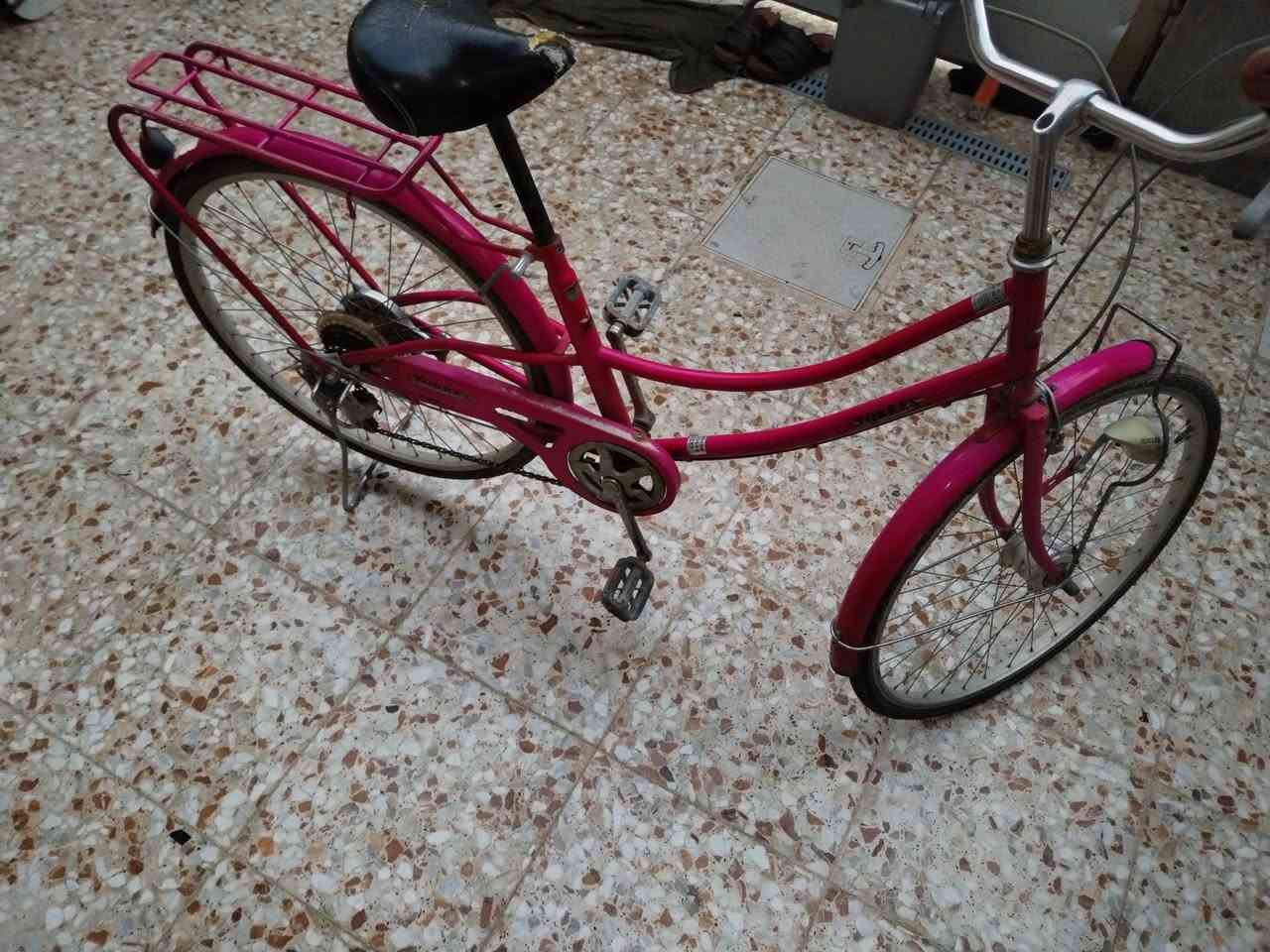 سلام عليكم ،
باسكل للبيع في منطقه سبع البور
  عالحجم:27 سعر:75 وبيه مجال ان شاء الله لتواصل  خاص مازنجر  او على رقم***********
