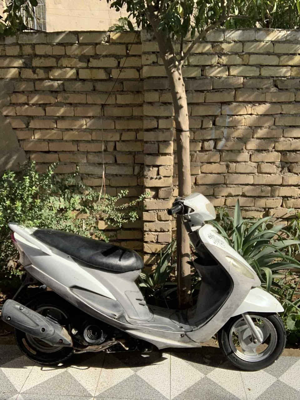 سلام عليكم للبيع مكفولة
ماكس منغولي بلادي بوشه 49 شلعه معدل ددراجه جاهزه السعر (500) مكاني بابل قضاء المحاويل شراي اتصل (***********)
