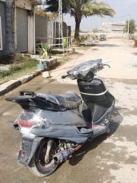 فراشة 140 • ياباني • ترتيبات بسيطة