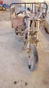 ستوته • اوراق ضايعه • الديوانيه