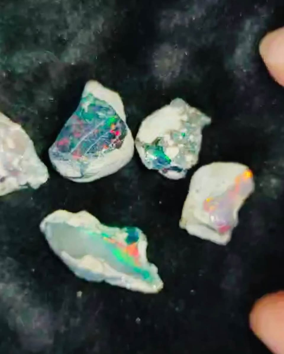 حجر اوبال اثيوبي خام طبيعي فاير قوي سعر مناسب ناصرية, ذي قار


**إذا كنت صاحب هذا الإعلان وتريد حذفه لأي سبب، رجاءا أرسل رسالة إلى الدعم الفني**