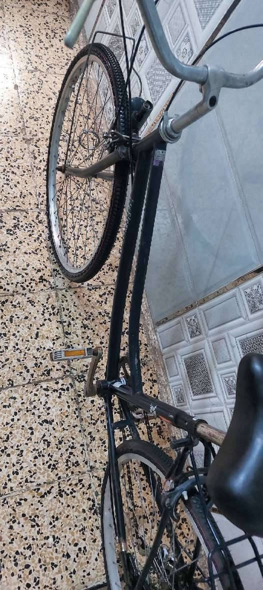 بايسكل عبد الحليم 26
خير من الله نضافه كدام العين البايسكل متروك ومصلح جديد غراضه كامله جدد السعر 80بي مجال التواصل على الرقم 
***********
