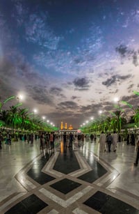 المسيب-كربلاء • ٢ ظهراً • سيارة خاصة ٤ راكب