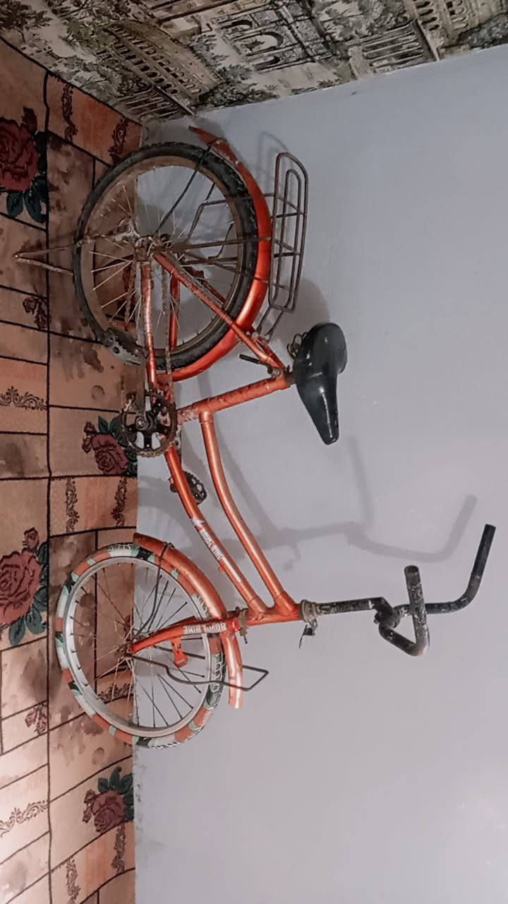 السلام عليكم
للبيع

بيسكل سياحي 

جاهز من كل النواحي 

السعر 50 الف وبي مجال 

للتواصل ***********
