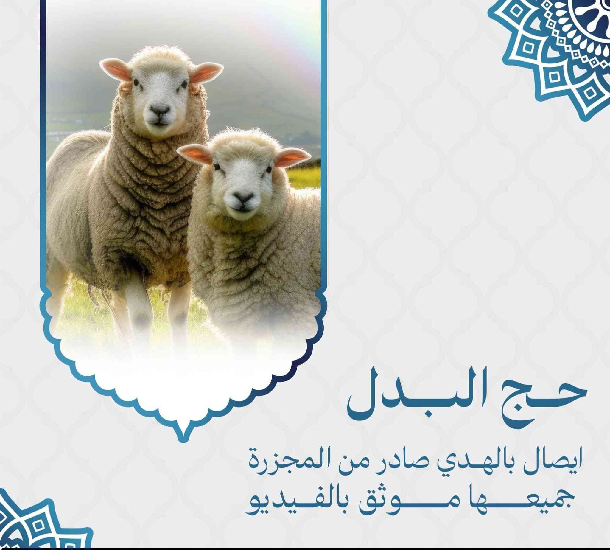 🕋  ((حج البدل عن الغير ))  🕋
قال تعالى: {وَلِلّهِ عَلَى النَّاسِ حِجُّ الْبَيْتِ مَنِ اسْتَطَاعَ إِلَيْهِ سَبِيلاً } صدق الله العظيم
🔴نعلن لكم عن بدء الحجز والتسجيل لحج البدل بالإنابة عن الأموات والشهداء والعاجزين لهذا العام1447ه‍  ، 2026م
🔴وايضا نقوم بتأدية العمرة عن الأموات والشهداء والعاجزين والذين يعانون من ظروف صحية خاصة 
✅ السعر يناسب الأوضاع الاقتصادية التي نمر بها 
✅ سيقوم أخوة ثقة بتأدية الحج بكل مصداقية وأمانة ، وبإتمام كامل المناسك والأركان .
✅ 
*يتم تأدية عمرة عن المرحوم قبل البدء في حج البدل عنه ويتم توثيق تاريخ تأديتها في الشهادة 
* يتم إصدار شهادة معتمدة فيها إسم المتوفى وإسم الحاج البديل مع الشهود على ذلك 
 كل ما عليك هو تزويدنا بالإسم رباعي 
لا تدع الفرصة تفوتك وقدم الخير لأحبابك بتأدية حج البدل عنهم 
للتواصل عبر الرقم التالي :*********** 
وتساب ***********
الحاج عادل الخليفي
