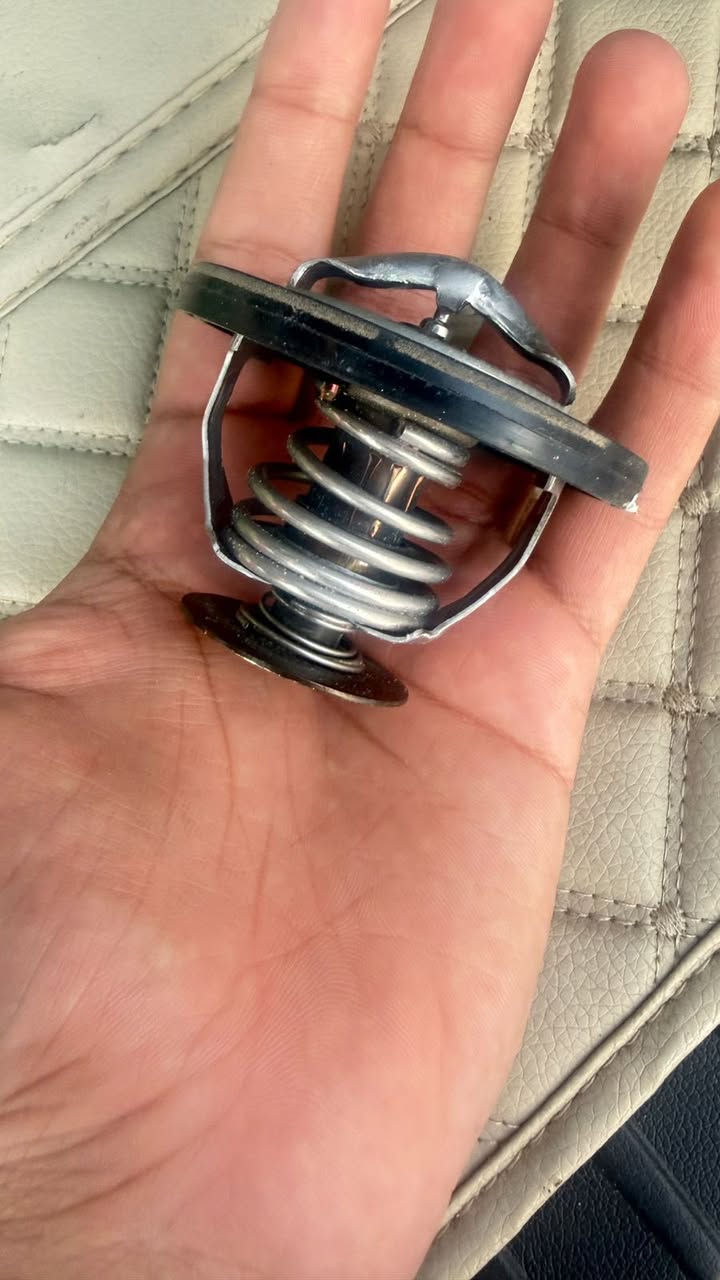 ولف حماوه اصلي مال جارجر ارتي جديد مامستخدم وكاله
قيم واخذ
***********
