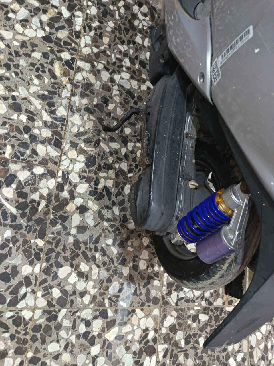 سلام عليكم دراجه عصفوريه مكفوله تجي جيب فيتر وتفحص سعر (350) مكاني بغداد فلكه ٨٣ رقم ***********
