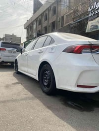 ويل وتاير • حجم ١٦ • مطلوب مراوس بويل