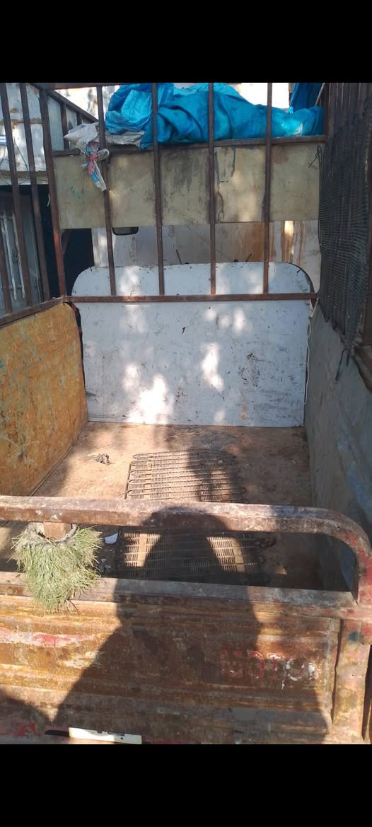 اكو هاي الستوته كلشي مابيها بس تنقيص المحرك والله ماشاء الله مثل الطير الكهربائية حلوه مابيهن شي ودبلات جديد اريد بيعهااااوتوصلو وياي خاص او عل وتساب***********سعرهاا750
