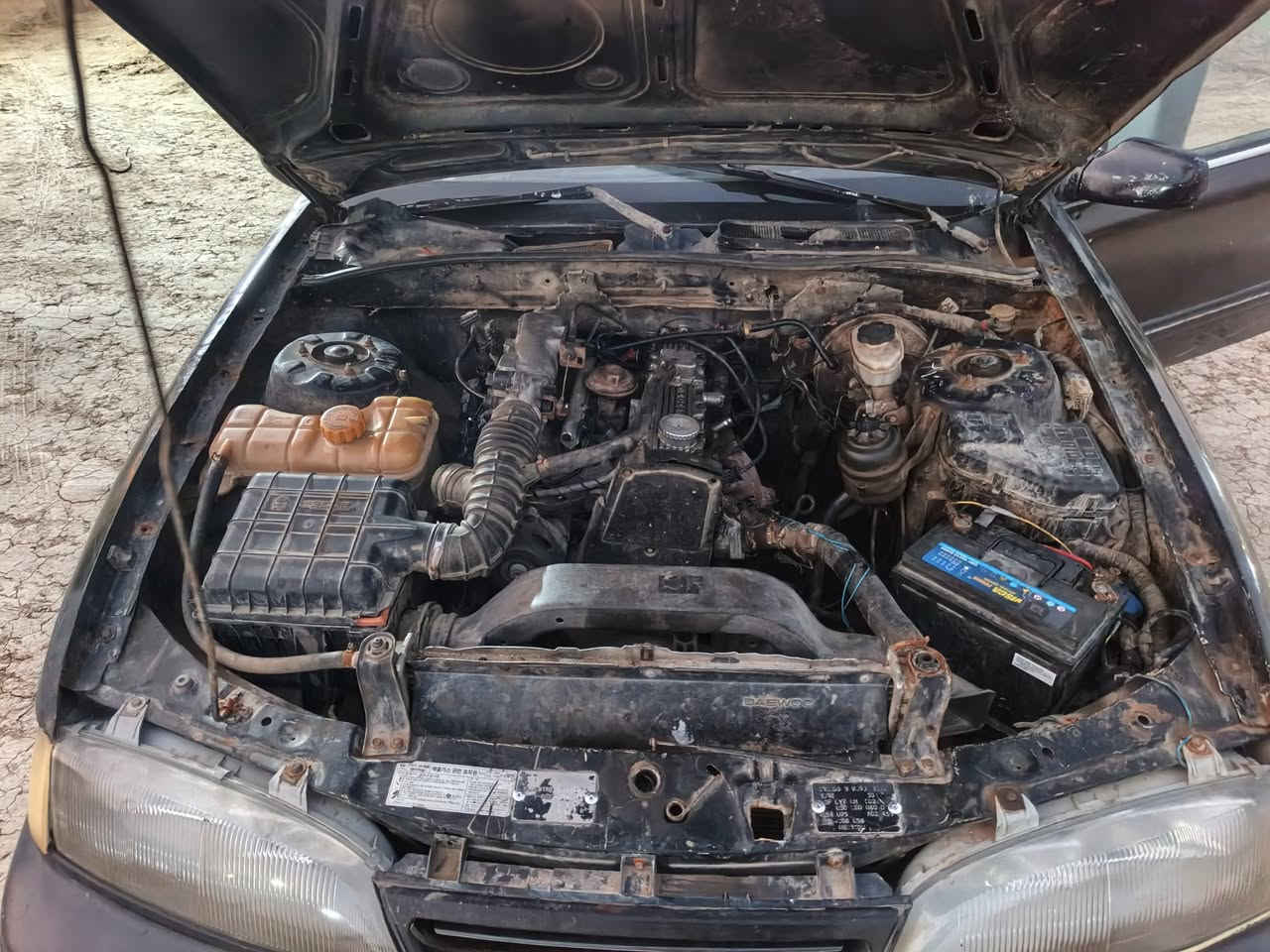 السلام عليكم
برنس للبيع مويديل   1992
رقم كربلاء سنويه نافذه 
مكينه خير من الله مجفتها توني مال جناي
سدر أمامي خلفي خير من الله
كهربائيات كلها شغاله
تخم تاير 
كير عادي
مكان السياره الحمزه الغربي
السعر 20$وبيها مجال قليل حق الجيه
استفسار أكثر اتصل على الرقم
***********
***********
