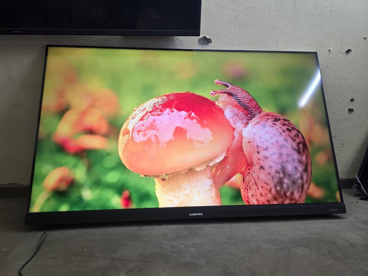 شاشه حجم 55الحافض فول موصفات سمارت انترنيت 300الف موقع بهرز حي صدام ***********
