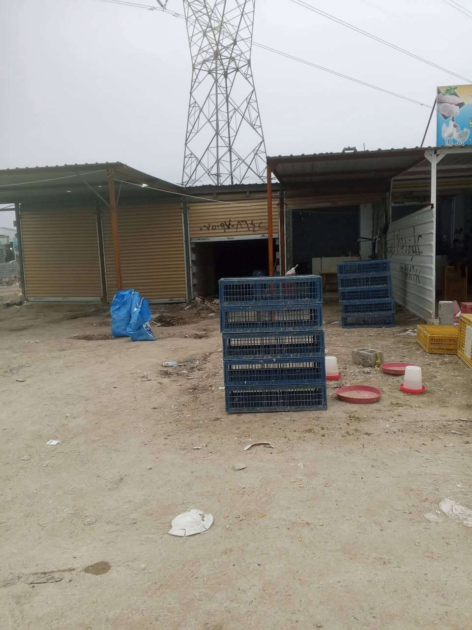 السلام عليكم مجزره للبيع الموقع ناحية الرشيد مجاور محطه الوقود المجزره جاهزة من كل شي ومدفوع ايجار 4اشهر القادمه الأغراض كامله والمجزره خير من الله سبب للبيع عدم التفرغ
***********
