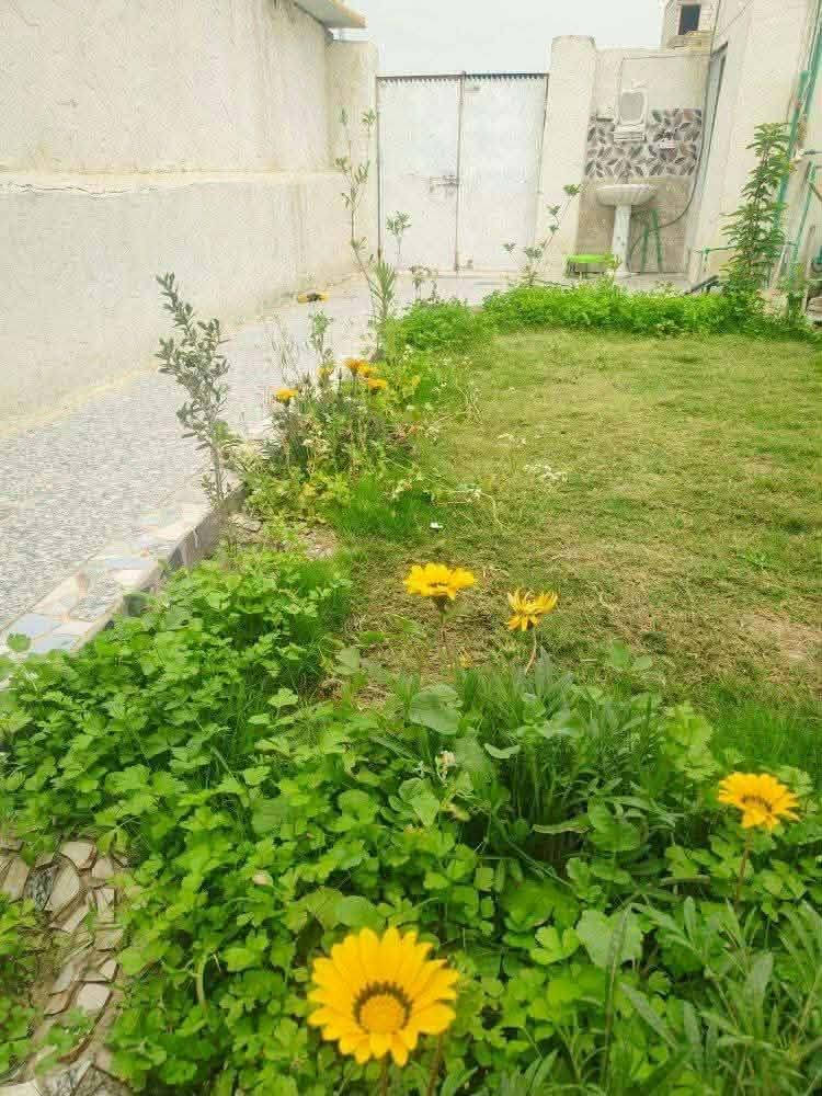 سلام عليكم بيت البيع المساحه ١٢٥ المكان بدعه رحمه زراعي مشمول بطابو شارع ١١ متر الماي بدون ماطور كهربه ٤ خط يتكون من غرفه ٥ متر وصاله ٧ متر مطبخ ٥ متر حوش جبير حديقه مرتبه شراي يتصل *********** شارع ٣٠ من جهت شط
