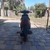 زنبوره بطه • نضيفه • كربلاء