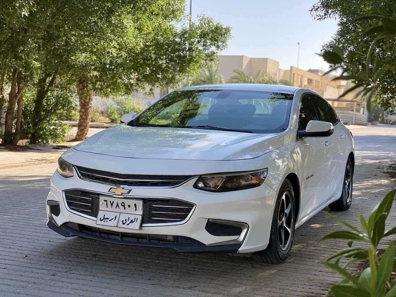 السلام عليكم 
للبيع فقط
ماليبو 2017 
رقم اربيل ب اسم شخص و شرط مداور
حادثها موضح بالصور قطعه وحده
بدون ضرر ايرباك بدون دواخل 
مواصفات عادية
جاهزة و بدون نقص 
السعر 99 و بيها مجال 
مكانها بالنجف 
***********
