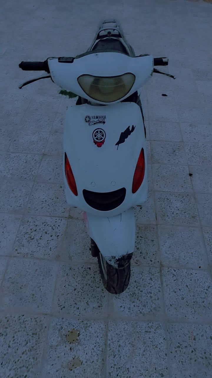 دولفيل للبيع والشعر خاص والمكان رميثه ورقم جهازي  ***********
