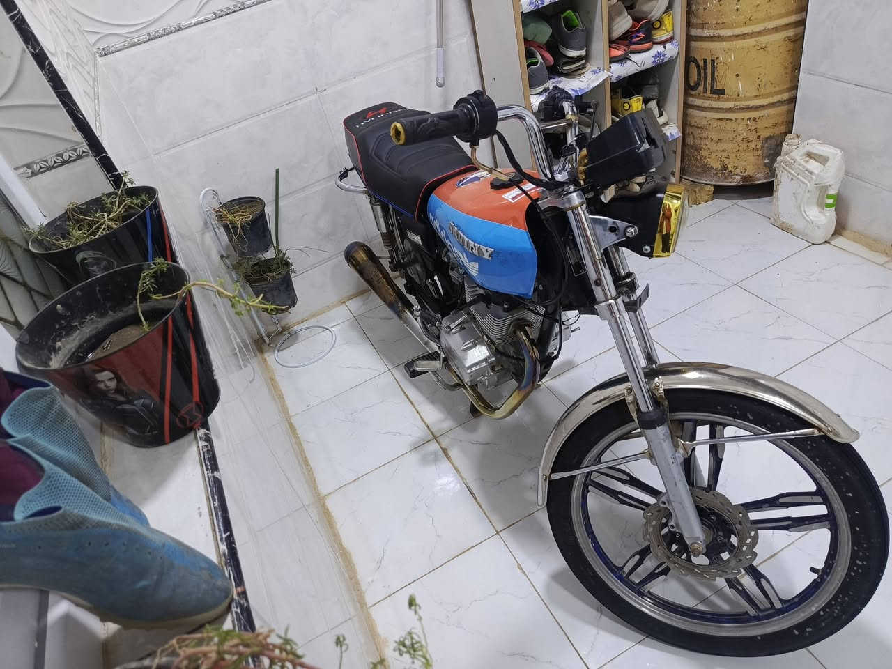 سيفان موديل 20 اوراق سكنر
حله شارع 80 سعرها 300
***********
