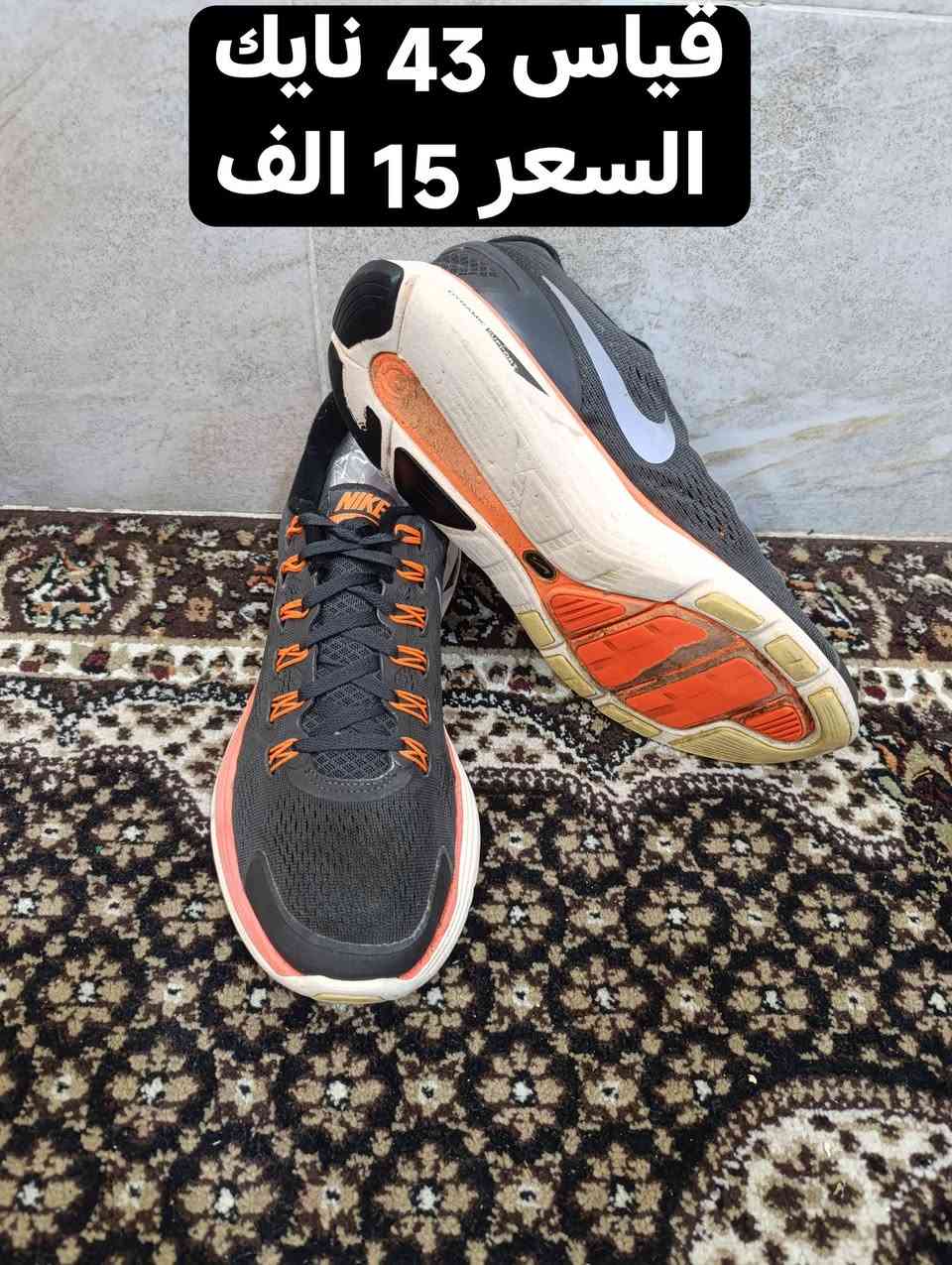 توجد خدمه توصيل


**إذا كنت صاحب هذا الإعلان وتريد حذفه لأي سبب، رجاءا أرسل رسالة إلى الدعم الفني**