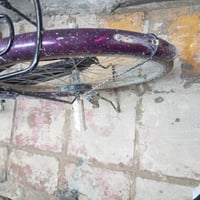 بايسكل • بابل ابو غرق • مقاس 26