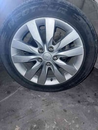 تخم ويل سيراتو اصلي  السعر 300بيهن مجال حجم 16 07718447736