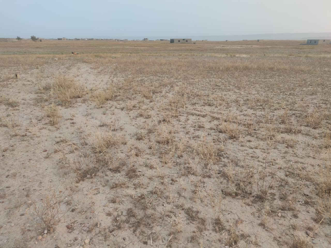 توجد قطعه ارض للبيع سعر المتر 5000  الاف وبيها مجال الموقع طار الطياره بالقرب من مزرعه عبدالله السبيل  والمساحه دونم وللاستفسار الاتصال على الرقم ***********
