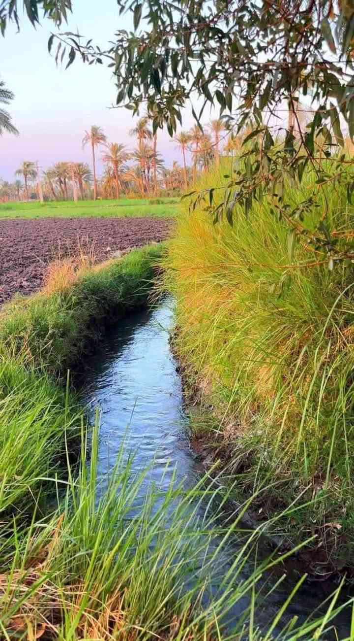 جايبلك عرض ابد ميضيع ✅
5 دونم السعر الكلي ٤٠ مليون وصنف الأرض طابو زراعي سند 25 موقع جداً مميز يبعد عن بغداد بس نص ساعه
التاجي ذراع دجله الشيخ عامر قرب مرقد بنات الحسن
على شارع 10 متر
فتح بيان وتحويل بأسم المشتري وتباع تقطيع

للاتصال والاستفسار *********** واتساب
