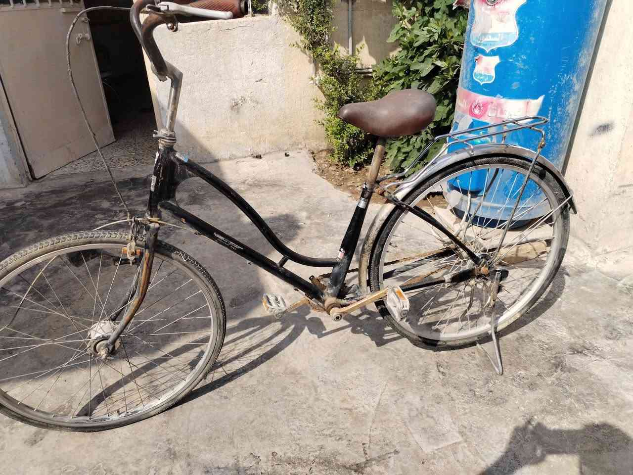 سلام عليكم
عيني باسكلات للبيع اثنين
السعر 60 وبي مجال العنوان ورديه خارج مقابل مستشفى الكفيل الاستفسار عن هذا ارقم***********
