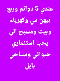 بابل • للبيع • عقار