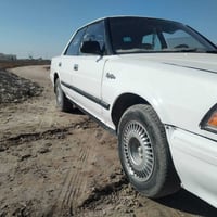 هارتوب • ٩١ • رقم نجف