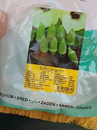 بذور فرنسية • بنت القوطيه • خيار سباني