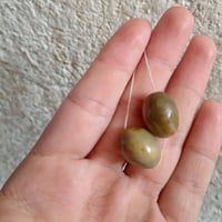 داودي • تحفة • بغداد مدينه الصدر