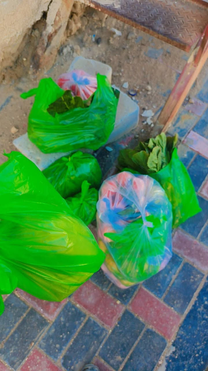 اليكم اسعار الخضروات والفواكه واللحوم 
ليوم الاحد 

طماطة بـ ١٠٠٠
خيار بـ ١٠٠٠
بتيتة ٣كيلو بـ٢٠٠٠
بيتنجان بـ ١٠٠٠
بصل اخضر ٣كيلو بـ٢٠٠٠
بصل احمر بـ ١٠٠٠
بصل ابيض ٣كيلو بـ ٢٠٠٠
شجر كيلو بـ ١٠٠٠
فلفل بارد بـ ١٢٥٠
شلغم  ٣كيلو بـ٢٠٠٠
شونذر ٣كيلو بـ٢٠٠٠
لهانة احمر  ٣كيلو بـ٢٠٠٠
لهانة ابيض ٣كيلو بـ ٢٠٠٠
قرنابيط بـ ١٥٠٠
موز  كيلو بـ١٢٥٠
تفاح اخضر بـ ٢٠٠٠
تفاح احمر بـ ١٥٠٠
تفاح ابيض بـ ١٥٠٠
سندي بـ ١٢٥٠
رمان سوري  بـ٣٠٠٠
رمان مصري بـ ٢٠٠٠
ليمون بـ٢٥٠٠
رارنج عراقي بـ١٢٥٠ 
عنب اسود بـ ٢٠٠٠
عنب احمر بـ ٣٠٠٠
برتقال مصري بـ١٥٠٠
عراقي بـ ١٥٠٠
لالنكي سوري بـ ١٢٥٠
لالنكي باكستاني بـ١٥٠٠
فراولة بـ١٠٠٠
كيوي بـ ١٥٠٠
جزر  بـ١٠٠٠
اناناس بـ ٤٠٠٠
جوز الهند بـ ٢٠٠٠
عرموط تركي بـ ٣٠٠٠
ركي مصري 
خس ٣بـ   ٢٠٠٠
جيس لبن بـ١٥٠٠
طرشي 
خضورات حسب الطلب
ثوم بـ ١٠٠٠
لحم غنم كيلو بـ ١٩٠٠٠
لحم عجل كيلو بـ ١٦٠٠٠
لحم مثروم كيلو بـ١٦٠٠٠
سمك الكيلو  بـ٦٠٠٠
دجاج ١كيلو بـ٣٢٥٠

التوصيل لباب البيت ب٣٠٠٠ دينار لجميع مناطق كربلاء 
التواصل عند طريق الواتساب ***********
ارسل قائمة احتياجاتك واحنه نجهزها الك ونوصلها لبيتك 
#غايتنا_راحتكم 
#مسواك_كربلائي_للتوصيل
