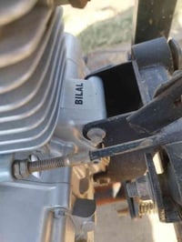 ستوته 2022 • أوراق أصلية • سده الهندية