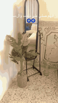 من رخصة الادمن تخم 10مقاعد ديوان مكان الدوره السعر 450وبي مجال واخو الجديد رقم ***********
