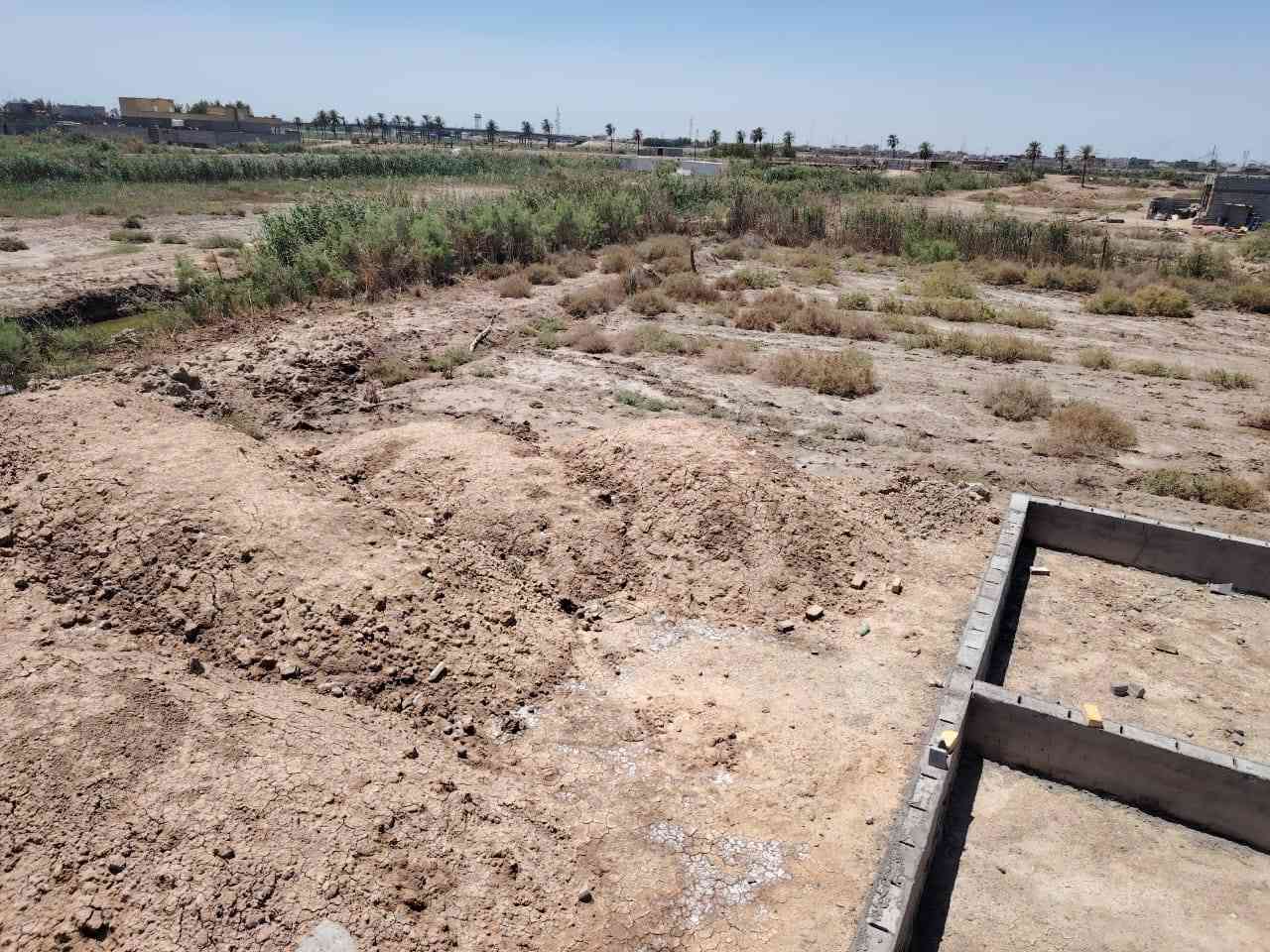 دونم ونص مع بيت بلنشوه.. البجيه زراعي 
البيت مساحته ٢٥٠
ثلاث غرف ودوانيه وهول وستقبال ومطبخ وصحيات بناء جديد عكاده بعده ماكامل وياه بتلو بصفه نفس الماركه
السعر 115وبي مجال *********** البصرة, العراق
