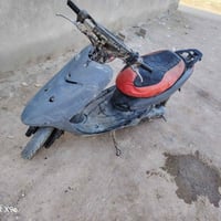 ٦٠ • توه مجفته • شغاله