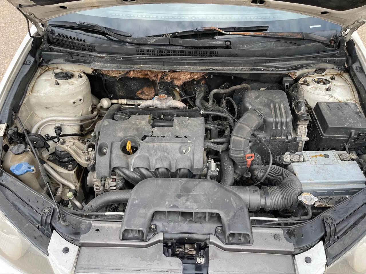 ئاڤانة تى مؤديل ٢٠٠٩ گيرو مةگينة بةشةره ت تةقةو ره قة بةشةره ت تةبريد ساردو گةرمة بةشةره ت چوار تاى لوك لةژيريتى و كوشن جلدو ئيتره و تةبريد لةمسة و سؤكان ڤؤليؤمة و مسجلة بلوتوزه و گيج وه نةوه شة و لايت ره ش و ناوه زه رده و ئيكؤية لوك لوك و سقفةى وه ك شووشة لاشةى وه ك شووشة 
سعره ى ٤٧وه ره قة 
*********** كيفري, ديالى
