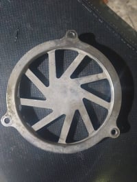 قبق فلاوين • سكنس • اصلي