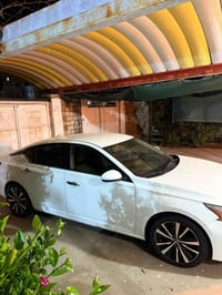 التيما ٢٠٢٠ • أمريكي • رقم أربيل