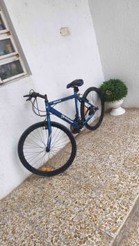 بايسكل تايواني • ARMOUR • نظيف