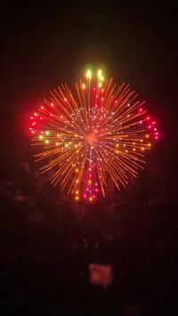 عصا ماسكة • ١٠٠ سم • خفيفة الوزن