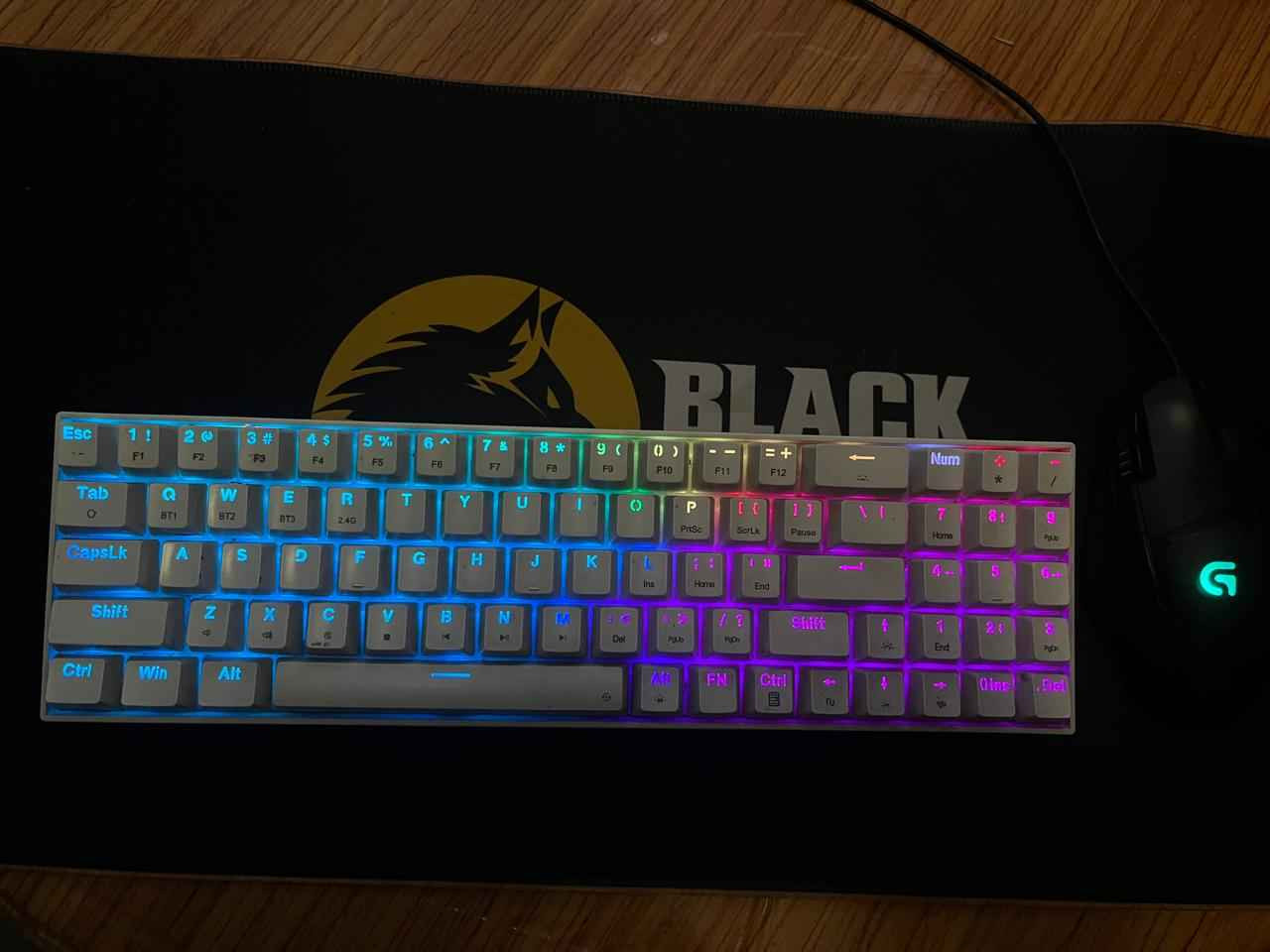 FHD 
كيبورد ريد دراكون ابيضّ وراير ليس اضاءة rgb وماوس باد كبير rgb 
ماوس لوجتك G402 كلهن 75 
Ups جديد ضمان اوف لاين سعر 75
شاشة سامسونك 240 hz حجم 27 فول hd سعر 240
سماعات Gt883 واير ليس اضاءة rgb سعر 25 بغداد, العراق


**إذا كنت صاحب هذا الإعلان وتريد حذفه لأي سبب، رجاءا أرسل رسالة إلى الدعم الفني**