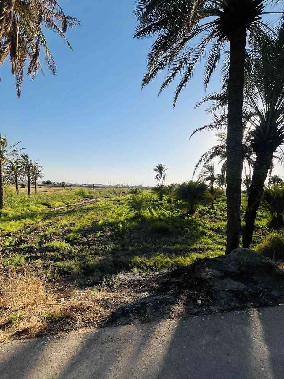 بستان للبيع 10 دوانم بظهر جامعه ميسان طريق الكحلاء


**إذا كنت صاحب هذا الإعلان وتريد حذفه لأي سبب، رجاءا أرسل رسالة إلى الدعم الفني**