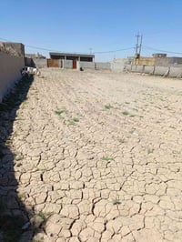 الصبية نزلت الطاحونة • ١٠٠٠م • مخدومة