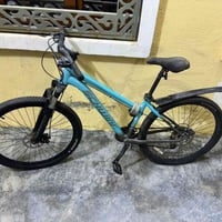 Schwinn أصلية • ماونتن بايك • فلوجة